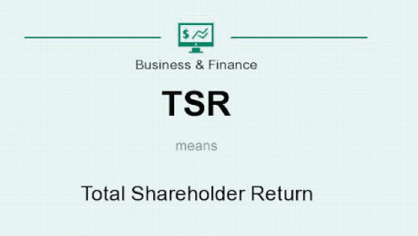 بازدهی سهامداران TSR/کاربرد بازده کلی سهامداران